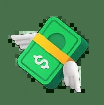 Fast icon